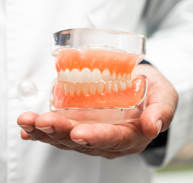 Dentist holding a full set of dentures model showing artificial teeth and gums used for dental restorations